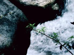 -黑龙潭风景区