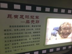 -上海昆虫博物馆