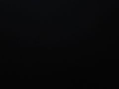 -东京包子楼(政七街店)