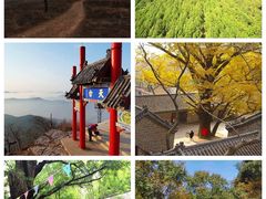 -微山湖红荷湿地景区
