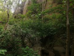 -大岭沟猕猴桃谷风景区