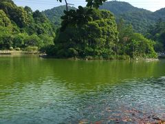 -广州市帽峰山景区