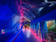 -北国之春国宴(乌兰察布店)