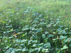 -如皋市龙游湖欢乐世界