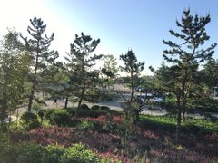 -威海天沐温泉度假区
