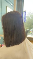 -YESIDO椰岛造型