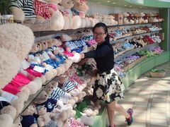 -济州岛泰迪熊博物馆