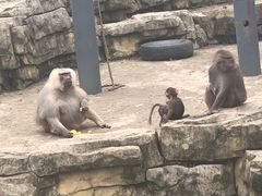 -上方山森林动物世界