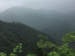 -四明山国家森林公园