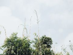 -望江楼公园