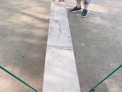 -东方巨龟苑景区