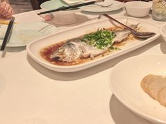 -醉辉皇原味海鲜江南菜(成都大魔方店)