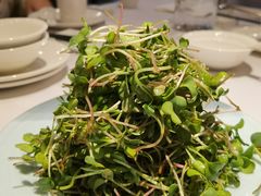 -外滩往事民国上海菜(黄浦店)