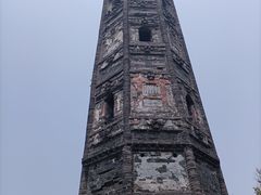 -上海佘山国家森林公园天马山园