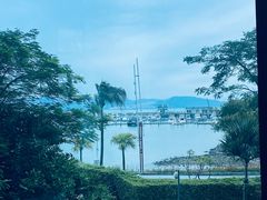 -希尔顿南海酒店·观廊大堂吧·海景下午茶