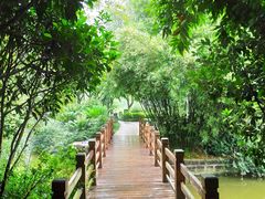 -龙头寺公园