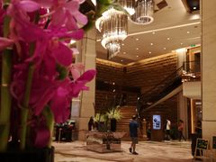 -西安赛瑞喜来登大酒店