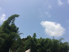 -漫山居私汤民宿全竹宴