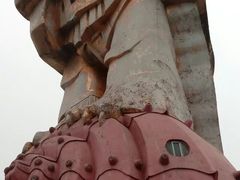 -大金鹰园