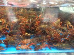 -盒马鲜生(王府广场店)