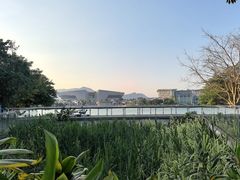 -琅岐红光湖公园