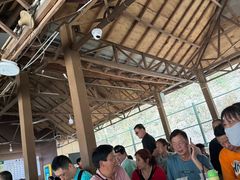 -野象谷景区