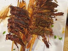 -龚海宝· 烧烤· 羊肉原切挂糊更好吃(庄市店)