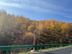 -塞罕坝国家级自然保护区