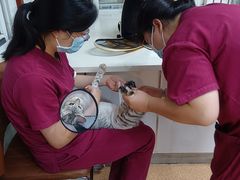 -宠颐生中康贝怡动物医院