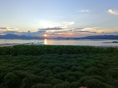 -盐洲岛