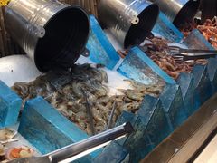 -新艺自助美食城(中山路店)