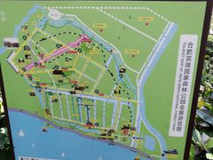 -合肥滨湖国家森林公园