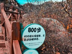 -大岭沟猕猴桃谷风景区