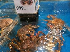 -盒马X会员店(王府井奥莱UP TOWN店)