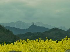 -青城山