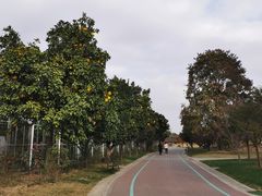 -南通洲际绿博园