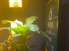 -泰王玺·正宗泰式按摩SPA(九霄店)