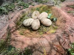 -湖南省地质博物馆