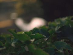 -维乐口腔医院(星海湾分院)