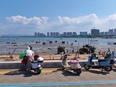 -养马岛旅游度假区