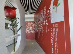 -爱情邮局