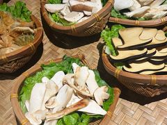 -滇野云南野生菌餐厅(陕西南路店)