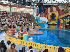 -海合安武汉极地海洋公园