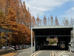 -黄海国家森林公园