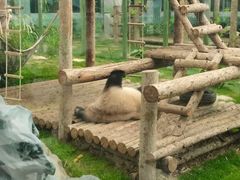 -大连森林动物园