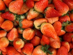 -友阿国际广场(邵阳店)