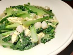 笔管小白菜-前海沿·青岛菜(五四广场永旺店)