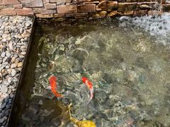 -禧宴Joyous Restaurant(禧园店)