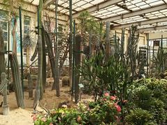 -石家庄市植物园