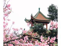 -宝墨园景区